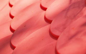 Ffridd plastic roof costs