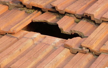 roof repair Ffridd, Powys
