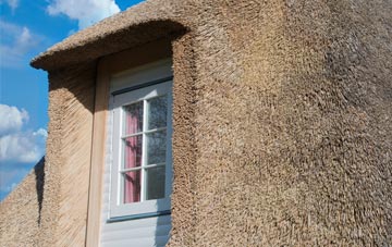 Ffridd thatch roof disadvantages