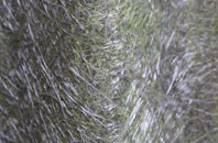 Ffridd fibreglass roof work