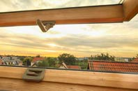 rated Ffridd roof window companies